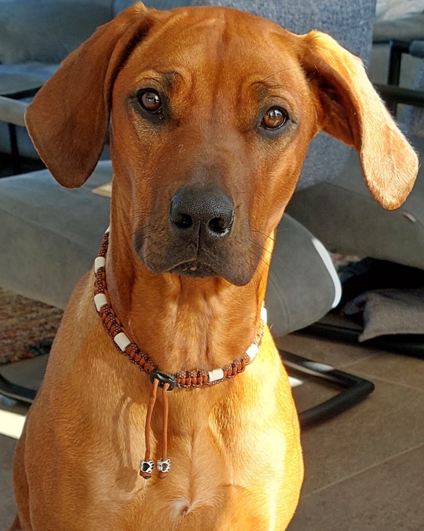 Handgemaakte Vlooien-Tekenband Keramische kralen