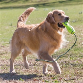 KONG AirDog Fetch Stick M
