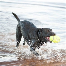 Kong Airdog Football Geel L 17X10,5 cm